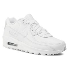 Laisvalaikio batai Nike Air Max 90 LTR kaina ir informacija | Sportiniai bateliai, kedai moterims | pigu.lt