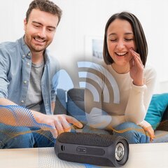 БЕСПРОВОДНОЙ ПОРТАТИВНЫЙ ДИНАМИК BLUETOOTH MANTA RADIO FM AUX IPX4 TWS MP3 цена и информация | Аудиоколонки | pigu.lt