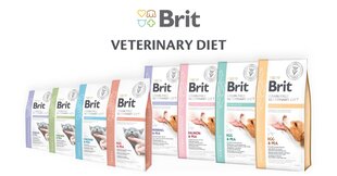 Brit Veterinary Ultra Hypoallergenic su vabzdžiais, 2 kg kaina ir informacija | Sausas maistas katėms | pigu.lt