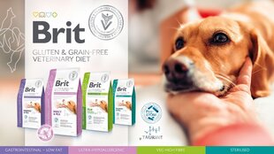 Brit Veterinary Diets Ultra Hypoallergenic suaugusiems šunims su vabzdžiais ir žirniais, 2 kg kaina ir informacija | Sausas maistas šunims | pigu.lt