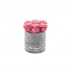 Спящие стабилизированные розы - Small light grey velvet box / Vintage Pink цена и информация | Спящие стабилизированные розы, растения | pigu.lt