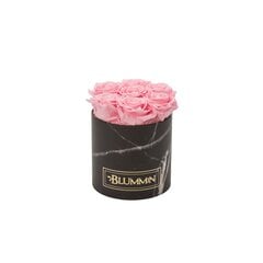 Stabilizuotos rožės Blummin – Small black marble box / Bridal Pink kaina ir informacija | Miegančios rožės, stabilizuoti augalai | pigu.lt