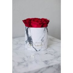 Спящие стабилизированные розы - Small white marble box / Vibrant Red цена и информация | Спящие стабилизированные розы, растения | pigu.lt