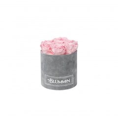 Stabilizuotos rožės Blummin – Small light grey velvet / Bridal Pink kaina ir informacija | Miegančios rožės, stabilizuoti augalai | pigu.lt