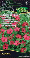 Didžiažiedis linas Rubrum 8946 Deluxe garden kaina ir informacija | Gėlių sėklos | pigu.lt