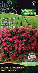 Katarantas Mediterranean XP Hot Rose XP kaina ir informacija | Gėlių sėklos | pigu.lt