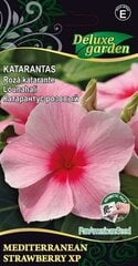 Katarantas Mediterranean XP Strawberry XP kaina ir informacija | Gėlių sėklos | pigu.lt