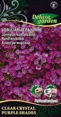 Lobuliarija pajūrinė Clear Crystal Purple Shades kaina ir informacija | Gėlių sėklos | pigu.lt