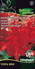 Raudonžiedžiai šalavijai Vista Red kaina ir informacija | Gėlių sėklos | pigu.lt