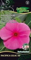 Rausvoji žiemė Pacifica - XP Lilac XP kaina ir informacija | Gėlių sėklos | pigu.lt