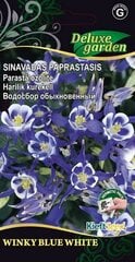 Sinavadas paprastasis Winky Blue White kaina ir informacija | Gėlių sėklos | pigu.lt