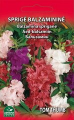 Sprigė balzaminė Tom Thumb kaina ir informacija | Gėlių sėklos | pigu.lt