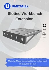 Ilginimo elementas darbastaliui 250 x 200 x 50 mm, 4 mm, M16, suvirinimo darbo vietai, darbastalių organizavimo sistema, Umetalli NOVA Workbench Systems kaina ir informacija | Mechaniniai įrankiai | pigu.lt