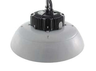 LED šviestuvas Ledolux ORBIT 100W, 1-10V, 4000K, 60° (galima rinktis spindulio kampą) kaina ir informacija | Pakabinami šviestuvai | pigu.lt