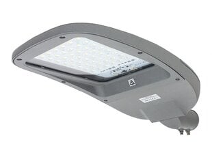 LED šviestuvas Ledolux PIKE J DOB 4000K, 35W, 1-10V, TYP2-M (galima rinktis tipą) цена и информация | Уличные светильники | pigu.lt