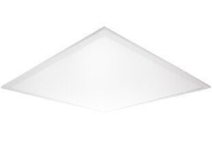 LED šviestuvas Ledolux PANEL LED SQR 4000K, DALI, 36W (galima rinktis galią) цена и информация | Люстры | pigu.lt