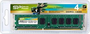 Silicon Power 4GB 1600MHz DDR3 CL11 (SP004GBLTU160N02) kaina ir informacija | Operatyvioji atmintis (RAM) | pigu.lt