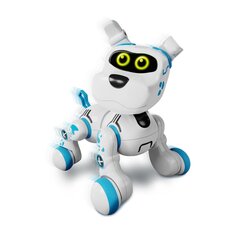 XTREAM BOTS Interaktyvus robotas „Bobby“ kaina ir informacija | Smėlio dėžės, smėlis | pigu.lt