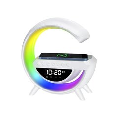 RGB LED Беспроводная звуковая колонка, беспроводное зарядное устройство, радио BT-3401 цена и информация | Аудиоколонки | pigu.lt