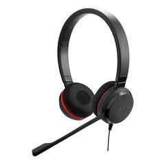 Ausinės su laidu Jabra Evolve 20SE MS Stereo Special Edition цена и информация | Смарттехника и аксессуары | pigu.lt