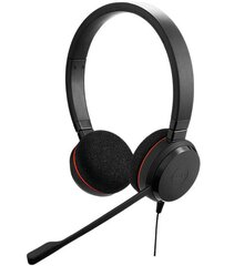 Ausinės Jabra Evolve 20 UC Stereo USB-C kaina ir informacija | Išmanioji technika ir priedai | pigu.lt