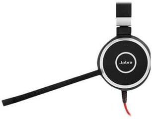 Ausinės Jabra Evolve 40 MS Stereo USB-C kaina ir informacija | Išmanioji technika ir priedai | pigu.lt