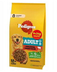 Pedigree Adult su jautiena ir daržovėmis, 12 kg kaina ir informacija | Sausas maistas šunims | pigu.lt