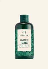 The Body Shop Tea Tree šampūnas 250ml kaina ir informacija | Šampūnai | pigu.lt