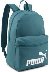 Puma Рюкзак Phase Backpack Green 079943 34 079943 34 цена и информация | Рюкзаки и сумки | pigu.lt