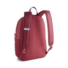 Puma Рюкзак Phase Backpack Bordeaux 079943 35 079943 35 цена и информация | Рюкзаки и сумки | pigu.lt