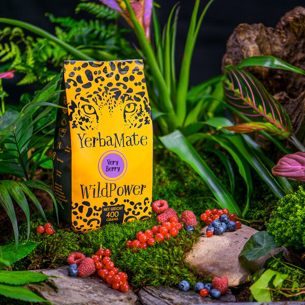 WildPower Very Berry Yerba Mate žolelių arbata, 400g kaina ir informacija | Arbata | pigu.lt