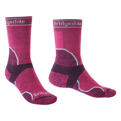 Sportinės kojinės Bridgedale TrailRun Merino Sport Crew Berry kaina ir informacija | Moteriškos kojinės | pigu.lt