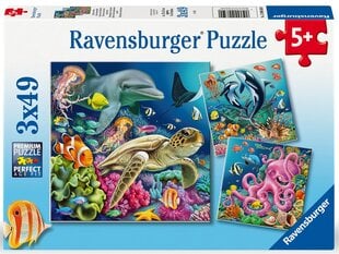 ravensburger galvosūkis 3x49 vnt jūros gyvūnai kaina ir informacija | Dėlionės (puzzle) | pigu.lt