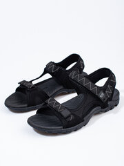 Light men's sandals DK 295667339 цена и информация | Мужские шлепанцы, босоножки | pigu.lt