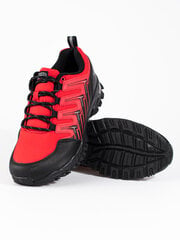 Men's red DK trekking shoes 296212668 цена и информация | Кроссовки для мужчин | pigu.lt