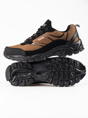 Men's brown DK trekking sports shoes 296212286 цена и информация | Кроссовки для мужчин | pigu.lt