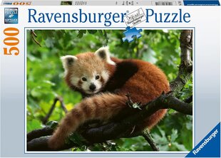 Ravensburger Ravensburger Dėlionė "Cute Red Panda" (500 dalių) kaina ir informacija | Dėlionės (puzzle) | pigu.lt