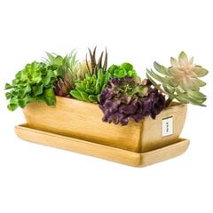 Gėlių dubuo gėlių vazonas lėkštė sukulentai 29 cm bonsai kaktusai šviesiai ruda kaina ir informacija | Vazonai | pigu.lt