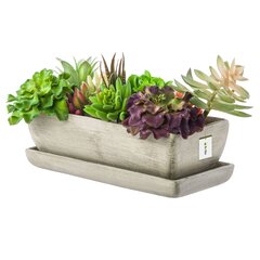 Gėlių dubuo gėlių vazonas lėkštė sukulentai 29 cm bonsai kaktusai betonas kaina ir informacija | Vazonai | pigu.lt