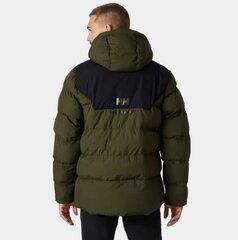 Мужская куртка Helly Hansen, хаки цена и информация | Мужские куртки | pigu.lt