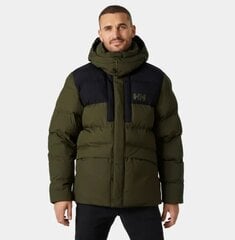 Мужская куртка Helly Hansen, хаки цена и информация | Мужские куртки | pigu.lt