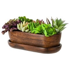 Gėlių vazonas Gėlių dubuo Ovalus padėkliukas Bonsai Kaktusai Sukulentai Rudas 29 cm kaina ir informacija | Vazonai | pigu.lt