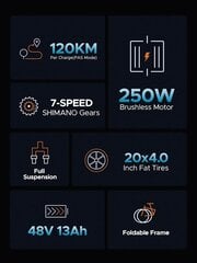 Elektroninis dviratis ENGWE ENGINE X 20", raudonas kaina ir informacija | Elektriniai dviračiai | pigu.lt