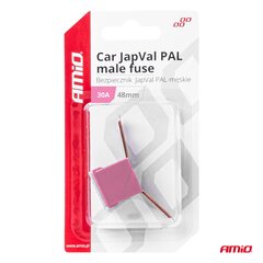 Apsauga JAPVAL PAL 2vnt vyriška 48mm 30A kaina ir informacija | Auto reikmenys | pigu.lt