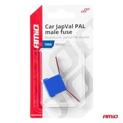 Apsauga JAPVAL PAL 2vnt vyriška 62mm 100A kaina ir informacija | Auto reikmenys | pigu.lt