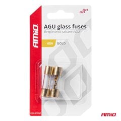 AGU saugiklis 2 vnt 10,3*38,1mm 60A kaina ir informacija | Auto reikmenys | pigu.lt