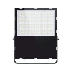 100W LED prožektorius TRENTON kaina ir informacija | Įmontuojami šviestuvai, LED panelės | pigu.lt