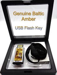 16 GB USB atmintinė su gintaro apdaila, geltona, 1 vnt. kaina ir informacija | Kitos originalios dovanos | pigu.lt