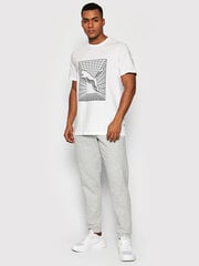 PUMA pilkos spalvos laisvalaikio kelnės vyrams RAD/CAL Pants DK Light Gray Heat - 84743804 84743804.XXL цена и информация | Штаны мужские | pigu.lt