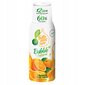 "FruttaMax Lime Mint LIGHT" sirupas 500ml+"FruttaMax Oranberry LIGHT" sirupas 500ml kaina ir informacija | Gazuoto vandens aparatai ir priedai | pigu.lt